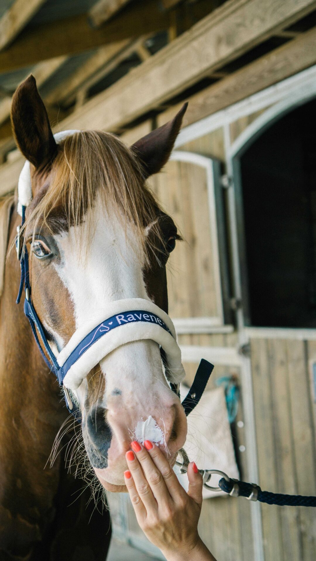 Sun Protec RAVENE – Image 3